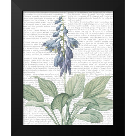 Summer Botanicals II Black Modern Wood Framed Art Print by Wild Apple Portfolio