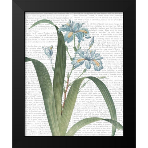 Summer Botanicals III Black Modern Wood Framed Art Print by Wild Apple Portfolio