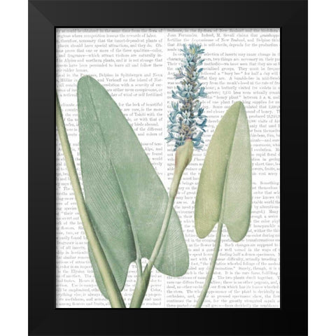 Summer Botanicals IV Black Modern Wood Framed Art Print by Wild Apple Portfolio