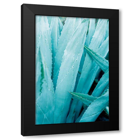 Abstract Agava I Color Black Modern Wood Framed Art Print by Urquhart, Elizabeth