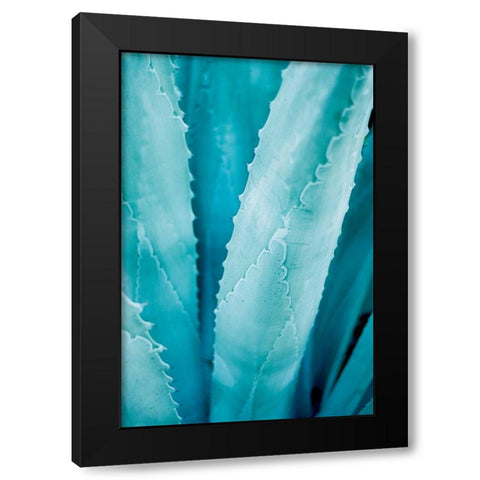 Abstract Agava III Color Black Modern Wood Framed Art Print with Double Matting by Urquhart, Elizabeth