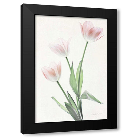 Light and Bright Floral I Black Modern Wood Framed Art Print by Urquhart, Elizabeth