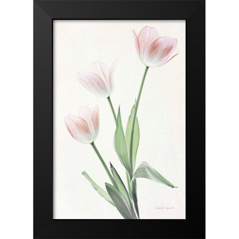 Light and Bright Floral I Black Modern Wood Framed Art Print by Urquhart, Elizabeth