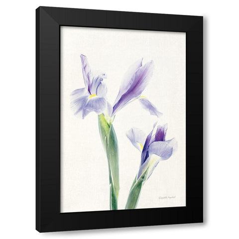 Light and Bright Floral III Black Modern Wood Framed Art Print with Double Matting by Urquhart, Elizabeth