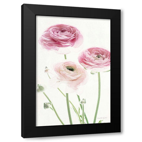 Light and Bright Floral VI Black Modern Wood Framed Art Print by Urquhart, Elizabeth
