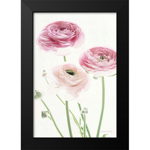 Light and Bright Floral VI Black Modern Wood Framed Art Print by Urquhart, Elizabeth