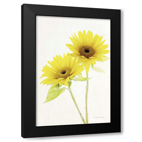 Light and Bright Floral VII Black Modern Wood Framed Art Print by Urquhart, Elizabeth