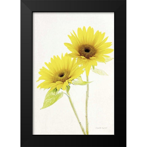 Light and Bright Floral VII Black Modern Wood Framed Art Print by Urquhart, Elizabeth
