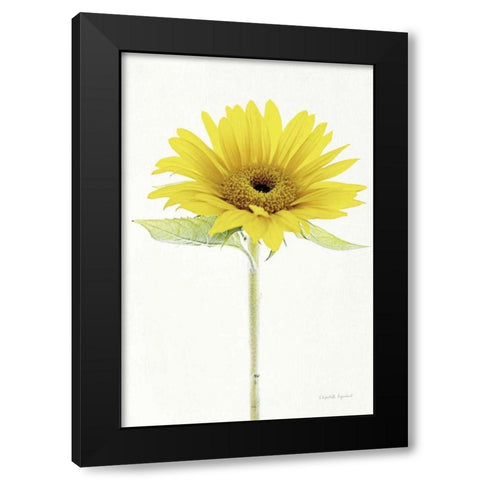Light and Bright Floral VIII Black Modern Wood Framed Art Print with Double Matting by Urquhart, Elizabeth
