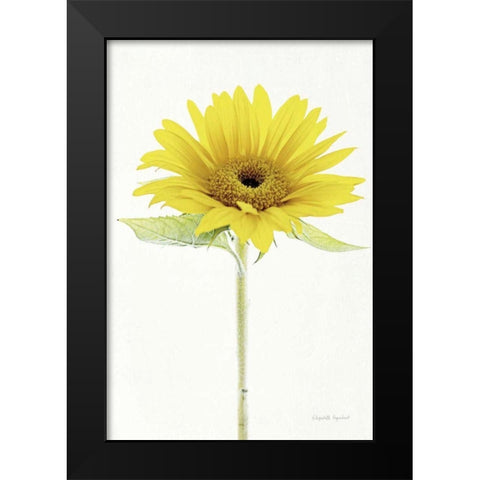 Light and Bright Floral VIII Black Modern Wood Framed Art Print by Urquhart, Elizabeth