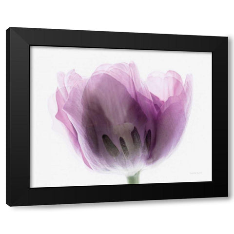 Inside Out I Black Modern Wood Framed Art Print with Double Matting by Urquhart, Elizabeth
