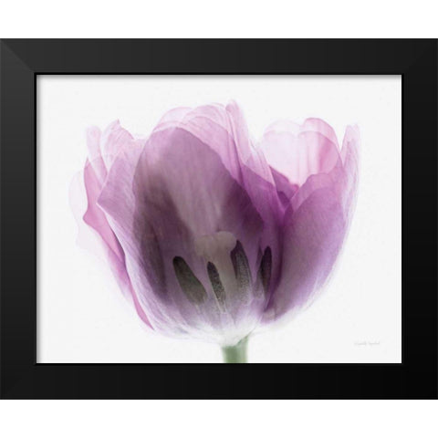 Inside Out I Black Modern Wood Framed Art Print by Urquhart, Elizabeth