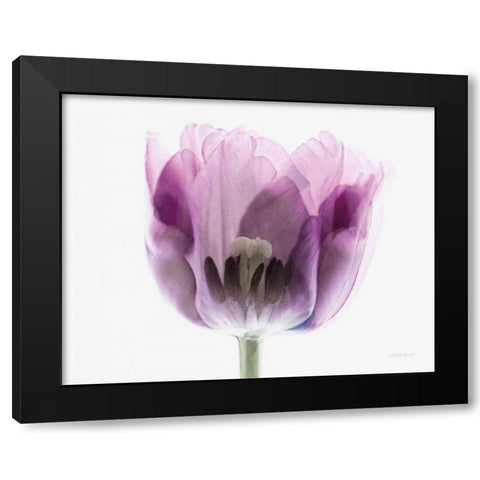 Inside Out II Black Modern Wood Framed Art Print by Urquhart, Elizabeth
