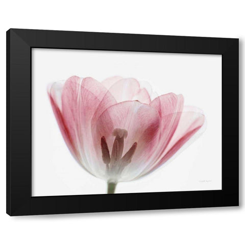 Inside Out III Black Modern Wood Framed Art Print by Urquhart, Elizabeth