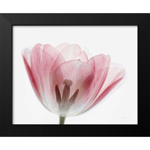 Inside Out III Black Modern Wood Framed Art Print by Urquhart, Elizabeth