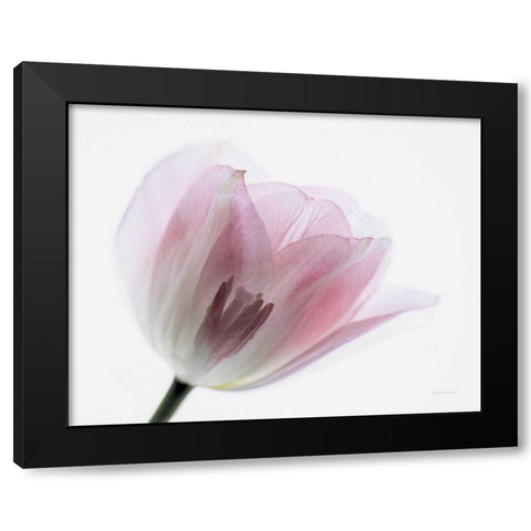 Inside Out IV Black Modern Wood Framed Art Print with Double Matting by Urquhart, Elizabeth