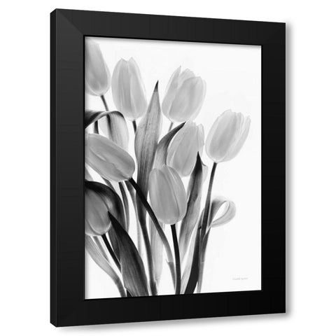 Shadows and Light II Black Modern Wood Framed Art Print with Double Matting by Urquhart, Elizabeth