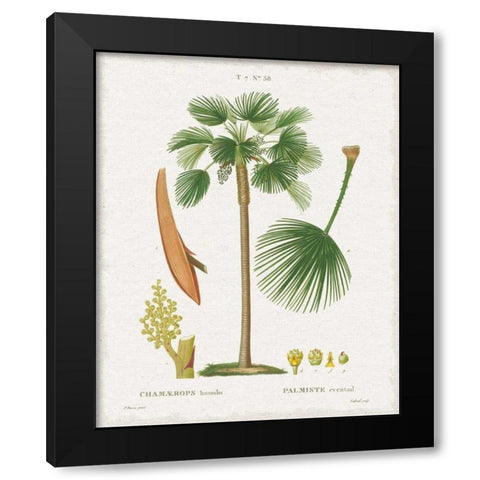 Island Botanicals I Black Modern Wood Framed Art Print by Wild Apple Portfolio