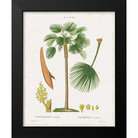 Island Botanicals I Black Modern Wood Framed Art Print by Wild Apple Portfolio