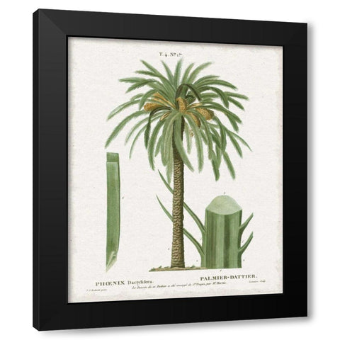 Island Botanicals II Black Modern Wood Framed Art Print with Double Matting by Wild Apple Portfolio