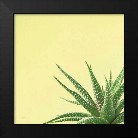 Succulent Simplicity II Black Modern Wood Framed Art Print by Bradley, Felicity