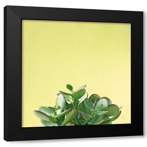 Succulent Simplicity III Black Modern Wood Framed Art Print with Double Matting by Bradley, Felicity