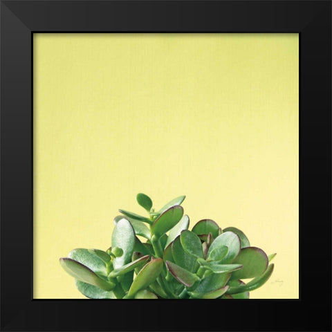 Succulent Simplicity III Black Modern Wood Framed Art Print by Bradley, Felicity