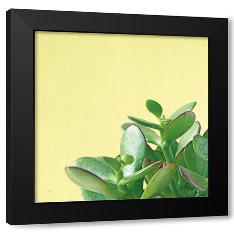 Succulent Simplicity IV Black Modern Wood Framed Art Print with Double Matting by Bradley, Felicity