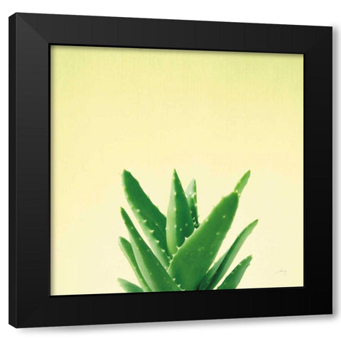 Succulent Simplicity V Black Modern Wood Framed Art Print with Double Matting by Bradley, Felicity