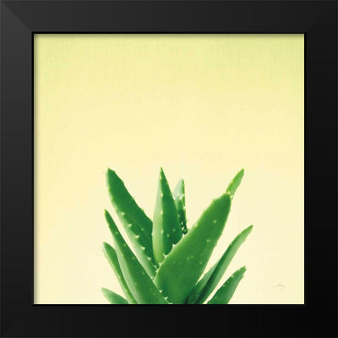 Succulent Simplicity V Black Modern Wood Framed Art Print by Bradley, Felicity