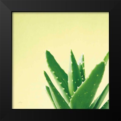 Succulent Simplicity VI Black Modern Wood Framed Art Print by Bradley, Felicity