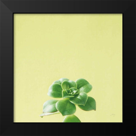Succulent Simplicity VII Black Modern Wood Framed Art Print by Bradley, Felicity