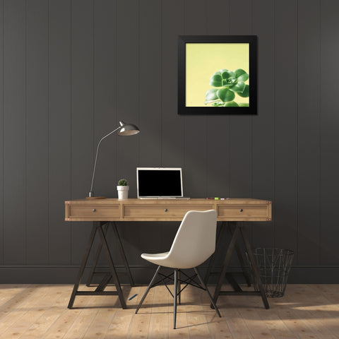 Succulent Simplicity VIII Black Modern Wood Framed Art Print by Bradley, Felicity