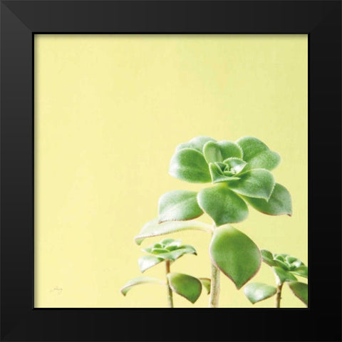 Succulent Simplicity X Black Modern Wood Framed Art Print by Bradley, Felicity