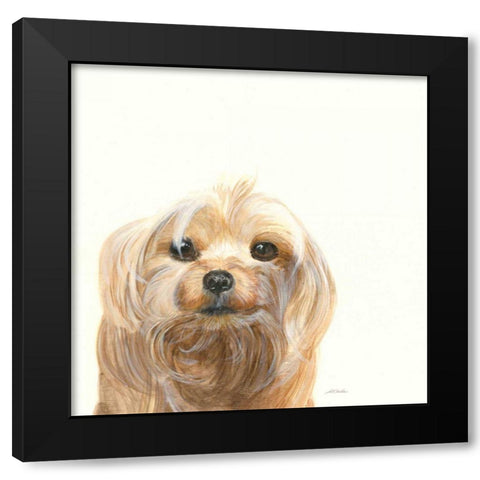 Little Scruff Gizmo Black Modern Wood Framed Art Print by Ducklow, Patsy