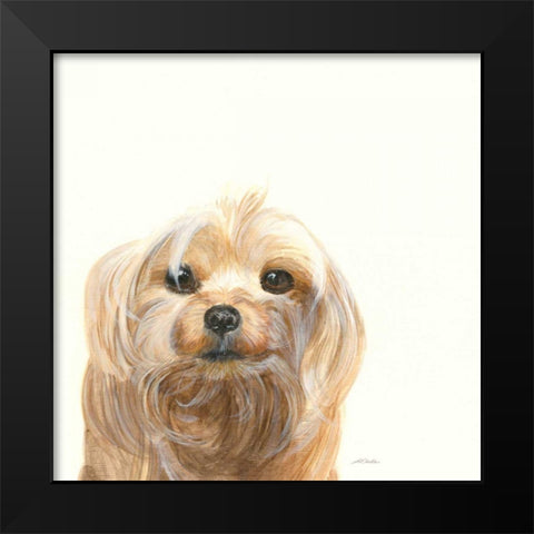 Little Scruff Gizmo Black Modern Wood Framed Art Print by Ducklow, Patsy