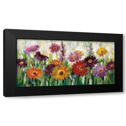 Jewel Daisy Gerbera Black Modern Wood Framed Art Print with Double Matting by Vassileva, Silvia