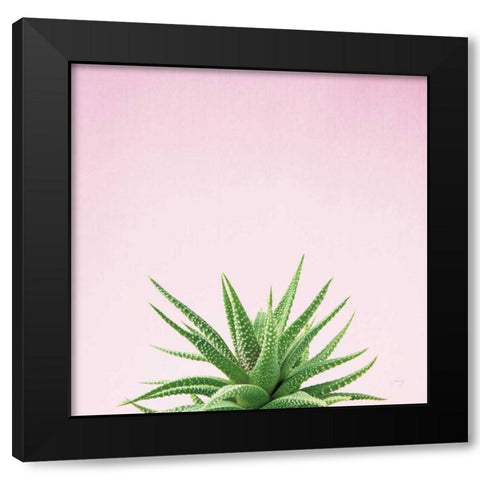 Succulent Simplicity I on Pink Black Modern Wood Framed Art Print by Bradley, Felicity