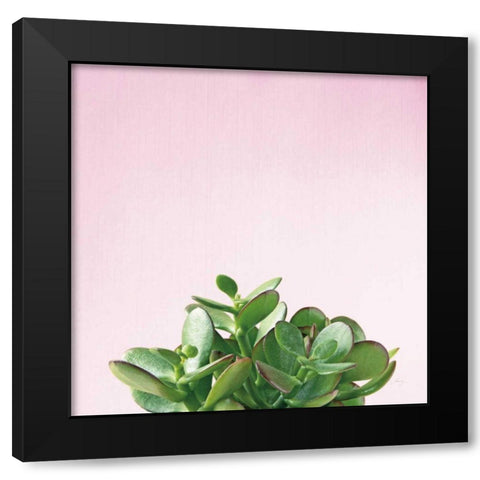 Succulent Simplicity III on Pink Black Modern Wood Framed Art Print by Bradley, Felicity