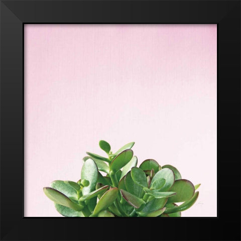 Succulent Simplicity III on Pink Black Modern Wood Framed Art Print by Bradley, Felicity