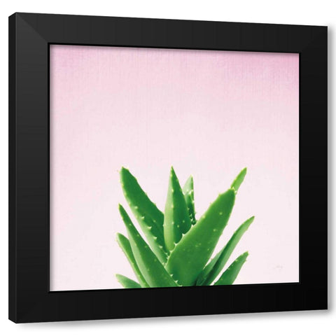 Succulent Simplicity V on Pink Black Modern Wood Framed Art Print with Double Matting by Bradley, Felicity
