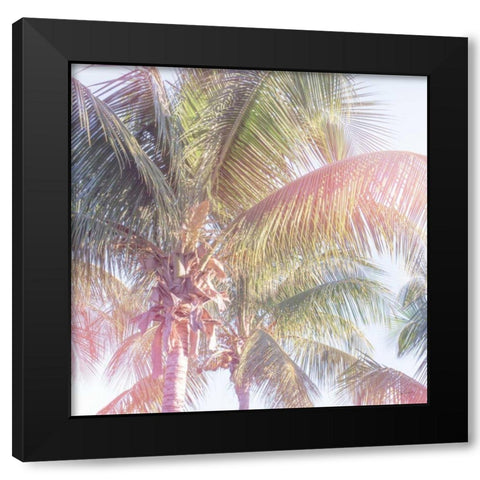 Dream Palm II Black Modern Wood Framed Art Print with Double Matting by Schlabach, Sue