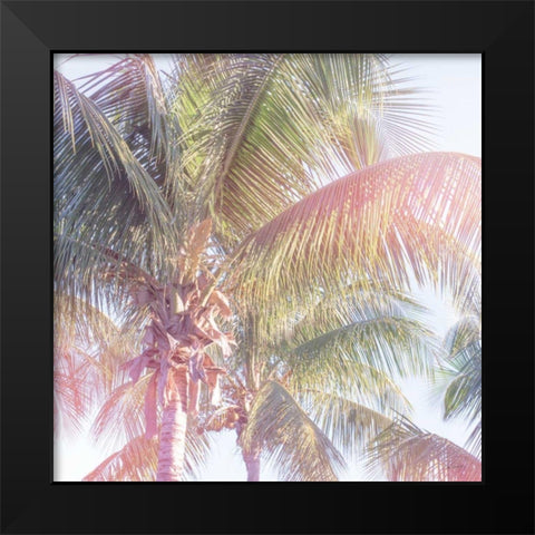 Dream Palm II Black Modern Wood Framed Art Print by Schlabach, Sue