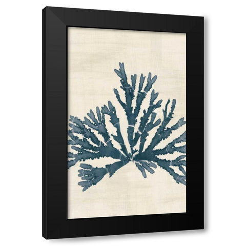Pacific Sea Mosses IV No Map Crop Black Modern Wood Framed Art Print with Double Matting by Wild Apple Portfolio