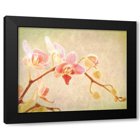 Perfume Black Modern Wood Framed Art Print by Bevan, Keri