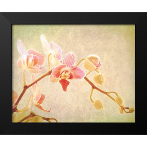 Perfume Black Modern Wood Framed Art Print by Bevan, Keri