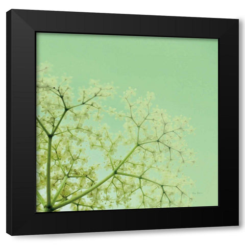 Cuckoo Flowers Black Modern Wood Framed Art Print by Bevan, Keri