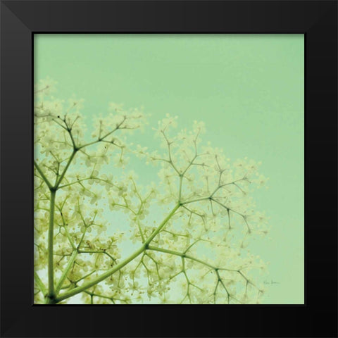 Cuckoo Flowers Black Modern Wood Framed Art Print by Bevan, Keri