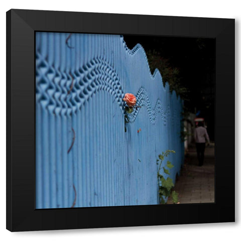 Rose on Pentonville Black Modern Wood Framed Art Print by Bevan, Keri