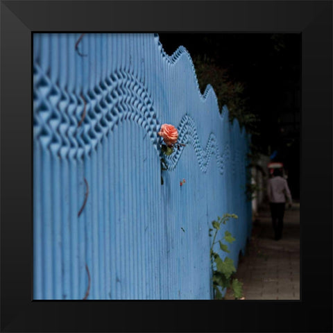 Rose on Pentonville Black Modern Wood Framed Art Print by Bevan, Keri